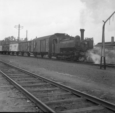 23 juin 1950 : Type 51 N° 51.154 à Leuven